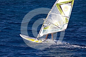 Windsurfer