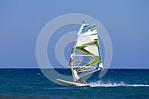 Windsurfer