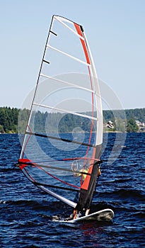 Windsurfer