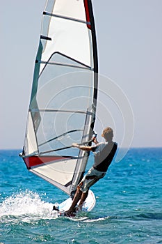 Windsurfer