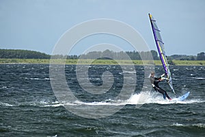 Windsurfer
