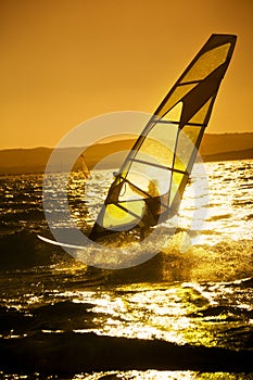 Windsurfer