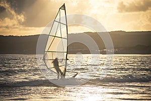 Windsurfer