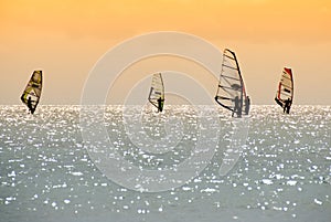 Windsurfer