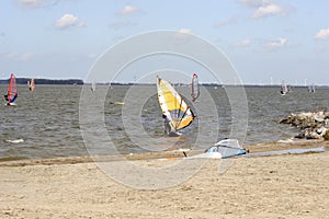 Windsurfer