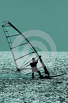 WINDSURFER