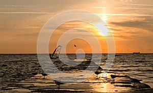 Windsurfer on the dawn