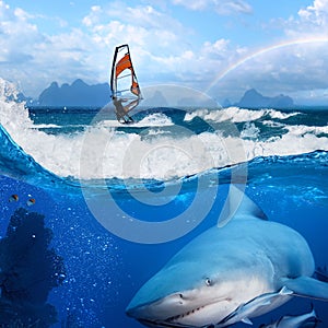 Surfer v oceán a divoký žralok 