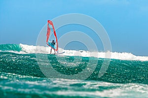 Windsurfer