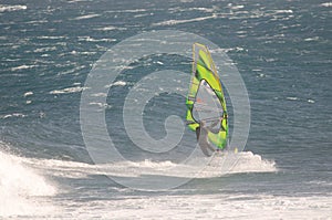 Windsurfer sailing in the sea.