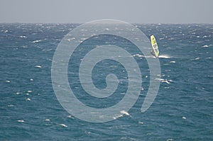 Windsurfer sailing in the sea.