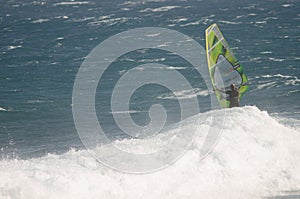 Windsurfer sailing in the sea.