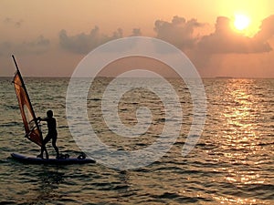 Windsurfer at the sunset