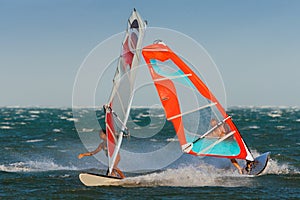 Windsurfers