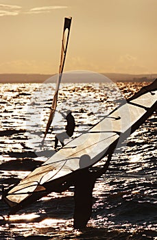 Windsurfers