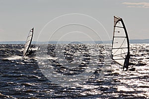 Windsurfers