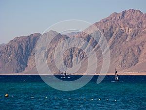 Windsurfers are in the Dahab's gulf