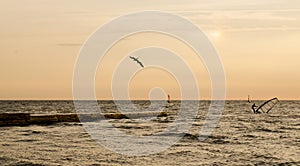 Windsurfers during the dawn