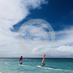 Windsurfers at sea in Kahana in Maui
