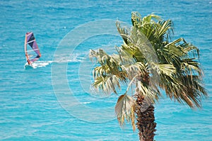 Windsurfing photo