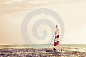 Windsurfing board against the azure water of the Indian Ocean, Maldives