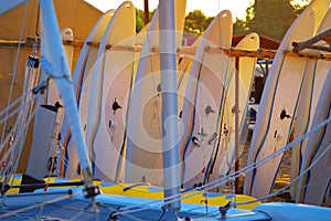Windsurfing boards storage on a beach watersports facility in early morning photo