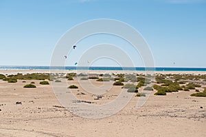 windsurfing sails and kite surfing in the wind on a paradisiacal beach