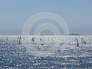 Windsurfing in the sea . Windsurfers silhouettes