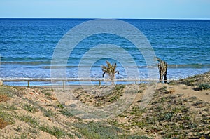 Windy Windswept Remote Beach