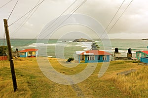 A windswept hillside in the caribbean