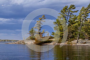 Windswept pines at Beausoleil Island, Ontario, Canada