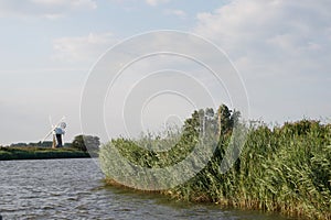 A windswept reedbed, river and windmill wind pump