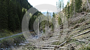 Windthrow in the Alps, Aerial of blowdown and destroyed forest in small valley