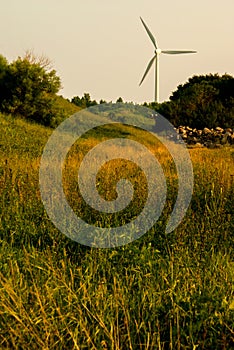 Windturbine_meadow