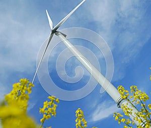 A windturbine into a field photo