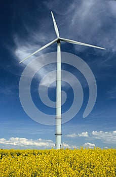 A windturbine into a field photo