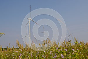 Windturbine at sunny day