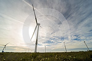 Windturbines at Neeltje Jans island, The Netherlands