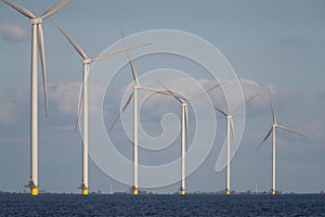 Windturbines in the water.