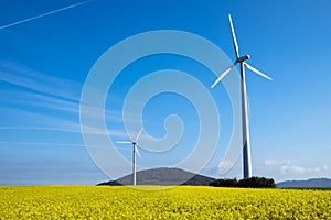 Windwheel and rapeseed in Germany