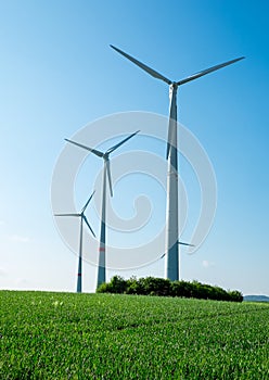 Windwheels, fields and blue sky