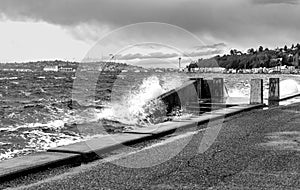 Windy Alki Shoreline 4