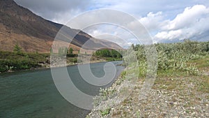 Windy August day on the Bank of the river Sob. Polar Urals, Russia