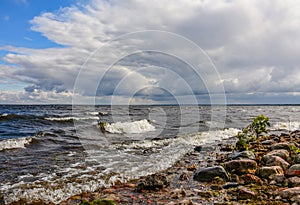 Windy autumn day on the shore of lake Ladoga.