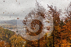 Windy autumn forest with leaves flying arou