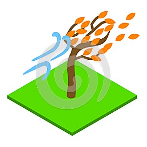 Windy autumn icon, isometric style