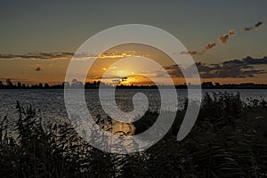 During a windy autumn morning with waving plumes rode along lake Zoetermeerse Plas, the sun has just risen over the horizon and sh