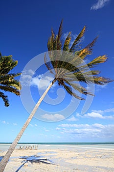 Windy beach in Cuba