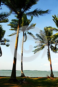 Windy beach seaside