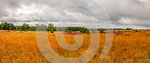 Windy Clouds in the Lueneburg Heath